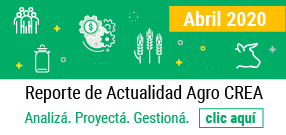 REPORTEDEACTUALIDADAGRO