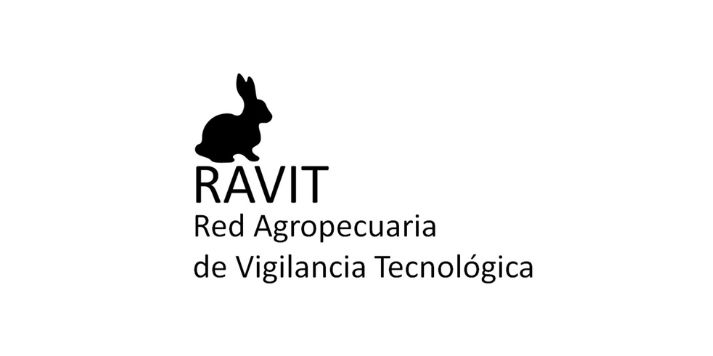 Rabit